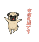 [お疲れ様です専用]パグ（個別スタンプ：8）