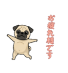 [お疲れ様です専用]パグ（個別スタンプ：9）