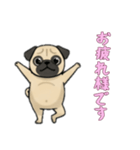 [お疲れ様です専用]パグ（個別スタンプ：12）