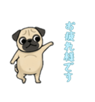 [お疲れ様です専用]パグ（個別スタンプ：16）
