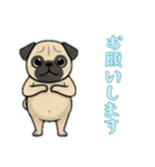 [お願いします専用]パグ（個別スタンプ：1）