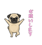 [お願いします専用]パグ（個別スタンプ：2）