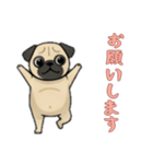 [お願いします専用]パグ（個別スタンプ：3）
