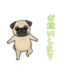[お願いします専用]パグ（個別スタンプ：4）
