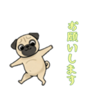 [お願いします専用]パグ（個別スタンプ：5）