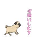 [お願いします専用]パグ（個別スタンプ：7）