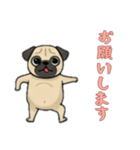[お願いします専用]パグ（個別スタンプ：8）