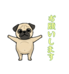 [お願いします専用]パグ（個別スタンプ：10）