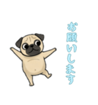 [お願いします専用]パグ（個別スタンプ：11）