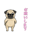 [お願いします専用]パグ（個別スタンプ：12）