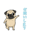 [お願いします専用]パグ（個別スタンプ：16）