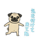 [気を付けて来てね専用]パグパグ（個別スタンプ：4）
