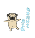 [気を付けて来てね専用]パグパグ（個別スタンプ：5）