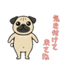 [気を付けて来てね専用]パグパグ（個別スタンプ：7）