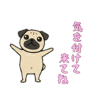[気を付けて来てね専用]パグパグ（個別スタンプ：8）