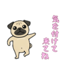 [気を付けて来てね専用]パグパグ（個別スタンプ：9）