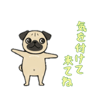 [気を付けて来てね専用]パグパグ（個別スタンプ：11）