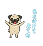 [気を付けて来てね専用]パグパグ（個別スタンプ：15）