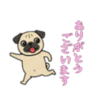 [ありがとうございます専用]パグパグ（個別スタンプ：1）