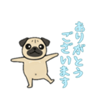 [ありがとうございます専用]パグパグ（個別スタンプ：10）