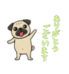 [ありがとうございます専用]パグパグ（個別スタンプ：15）
