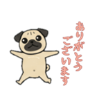 [ありがとうございます専用]パグパグ（個別スタンプ：16）