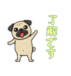 [了解です専用]パグパグ（個別スタンプ：3）