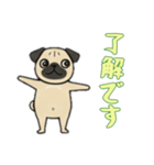 [了解です専用]パグパグ（個別スタンプ：4）