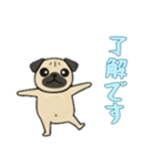 [了解です専用]パグパグ（個別スタンプ：5）