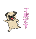 [了解です専用]パグパグ（個別スタンプ：7）