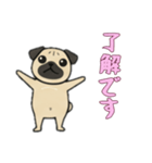 [了解です専用]パグパグ（個別スタンプ：8）