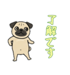 [了解です専用]パグパグ（個別スタンプ：11）