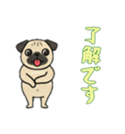 [了解です専用]パグパグ（個別スタンプ：12）