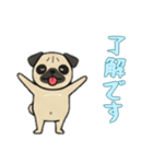 [了解です専用]パグパグ（個別スタンプ：13）