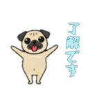 [了解です専用]パグパグ（個別スタンプ：14）