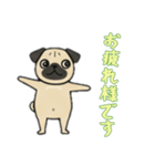 [お疲れ様です専用]パグパグ（個別スタンプ：13）