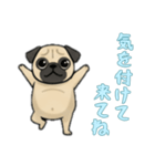 [気を付けて来てね専用]パグ（個別スタンプ：4）