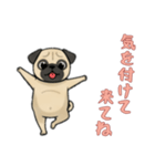 [気を付けて来てね専用]パグ（個別スタンプ：6）