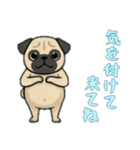 [気を付けて来てね専用]パグ（個別スタンプ：8）