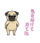 [気を付けて来てね専用]パグ（個別スタンプ：15）