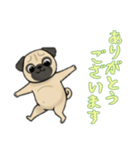 [ありがとうございます専用]パグ（個別スタンプ：1）