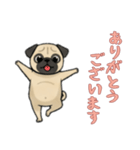 [ありがとうございます専用]パグ（個別スタンプ：4）