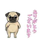 [ありがとうございます専用]パグ（個別スタンプ：5）