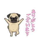 [ありがとうございます専用]パグ（個別スタンプ：7）