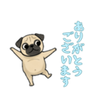 [ありがとうございます専用]パグ（個別スタンプ：8）