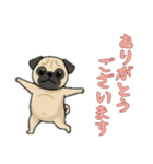 [ありがとうございます専用]パグ（個別スタンプ：10）