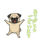 [ありがとうございます専用]パグ（個別スタンプ：11）