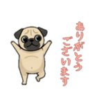 [ありがとうございます専用]パグ（個別スタンプ：12）