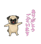 [ありがとうございます専用]パグ（個別スタンプ：15）