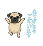 [ありがとうございます専用]パグ（個別スタンプ：16）